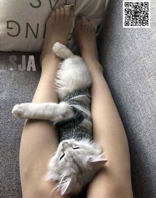 国产亚洲一级二级黄片_超清手机在线观看