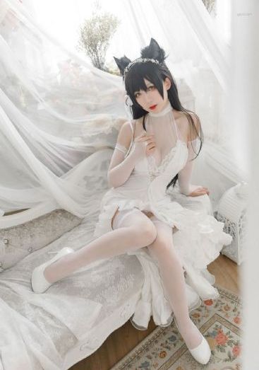 美女福利视频黄_BD国语高清视频播放